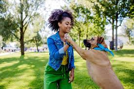 A dog for clinical assessment for eligibility for Psychiatric Support Animals Georgia enjoying outdoors with a woman