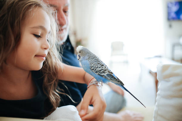 A bird, ready for clinical assessments for eligibility for Emotional Support Animals Georgia, on the arm of a girl.
